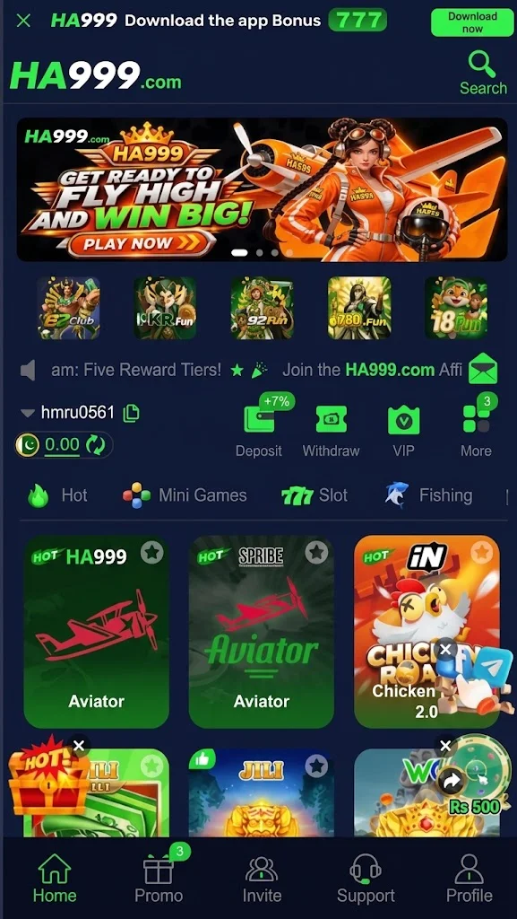 HA999 Game home image